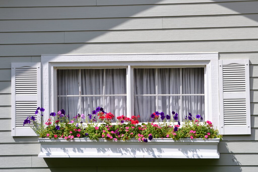 Window box filled with colorful flowers underneath a window and shutters